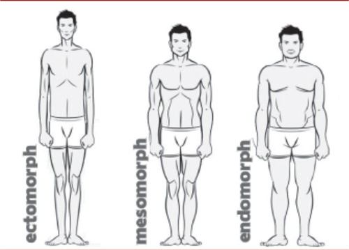 Jenis Tipe Tubuh