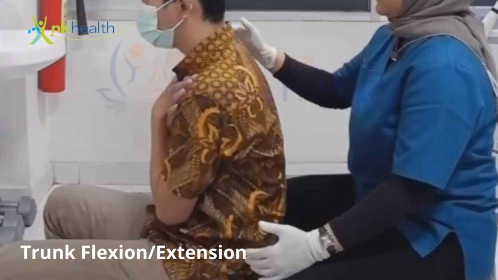 Trunk Flexion/Extension